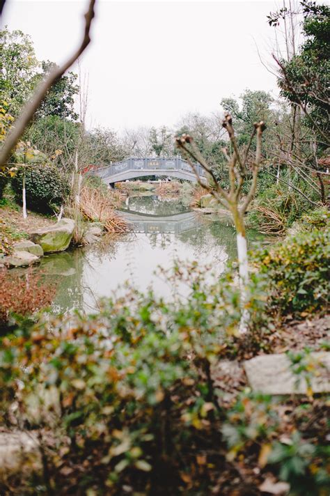 Dragon well tea plantations has great view and activities to know china tea longjing tea or dragon well tea of more than 1200 years old is the no. Chinese Tea Plantation in Hangzhou - Entouriste
