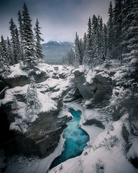 Frozen Athabasca Falls Jasper National Park Alberta Canada Winter