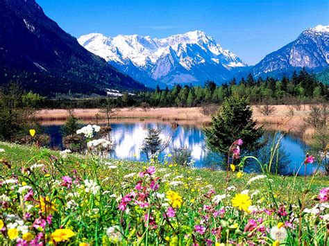 Spring Mountain Flowers Beauty Nature River Landscape Hd