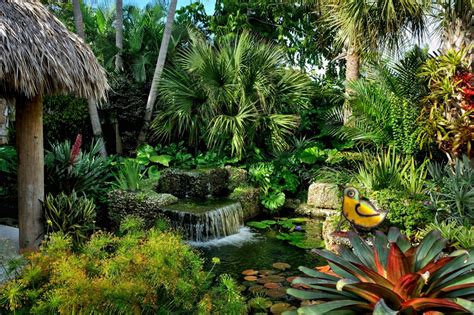 Low Maintenance Tropical Landscaping Landscaping