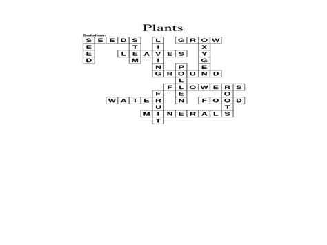 Plants Crossword Worksheet For 1st 4th Grade Lesson Planet