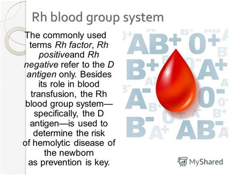 Rh Blood Type