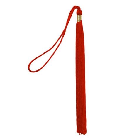 Find images in png and svg with transparent background. Children's Graduation Tassel 9"