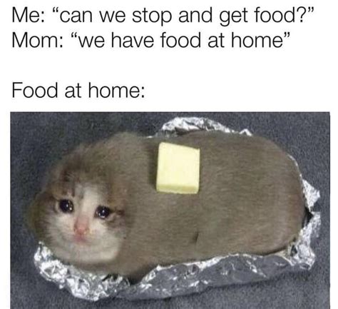 Butter Cat Memes