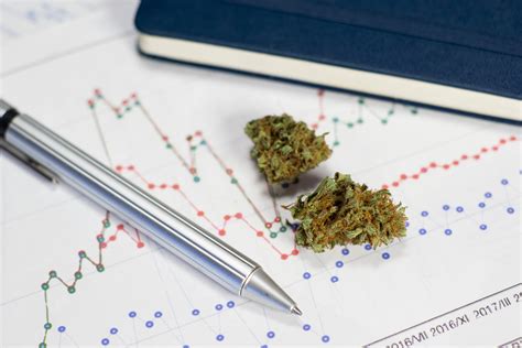 Get A Quality Cannabis Business Plan Dispensary Business Plan
