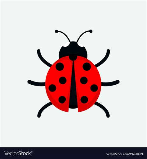 Cute Ladybug Drawing Graphic Royalty Free Vector Image