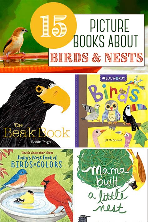 Kids Books About Birds Perfect For Spring Reading