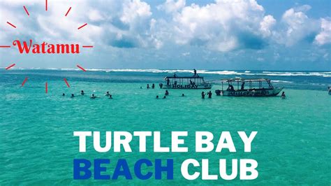 Turtle Bay Beach Club Watamu 2021 Gallery Youtube