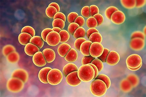 several antibiotic resistant gonorrhoea cases detected in uk