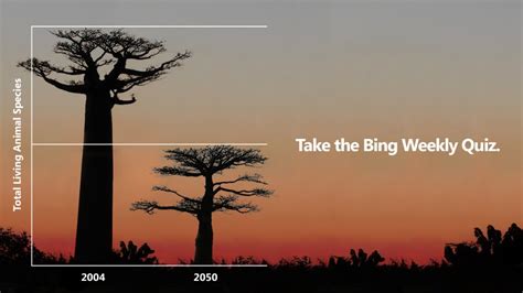 Bing Weekly News Quiz Microsoft Bing On Twitter By 2050