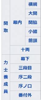 Search for text in self post contents. 照ノ富士の結婚相手と妻は？史上初の怪我と糖尿病からの復活 ...