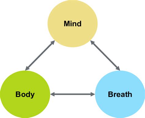 Mind Body Breath Feedback Loop Download Scientific Diagram