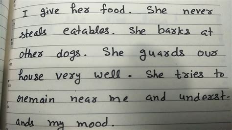 My Pet Dog Paragraph Writing In English In Educational Channel By