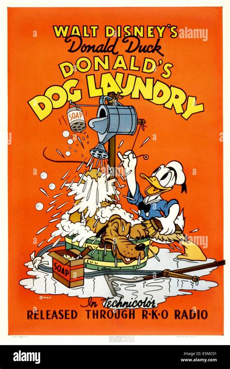 Donalds Dog Laundry Us Poster Art From Left Pluto Donald Duck
