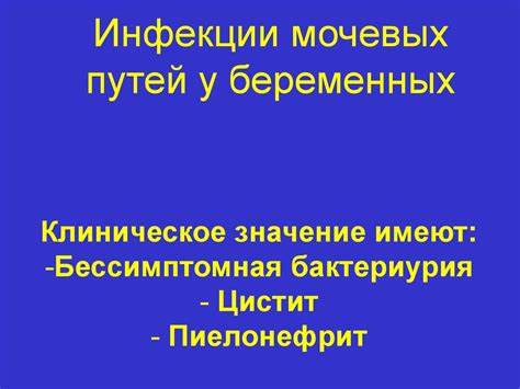 Пиелонефрит беременных диета Пиелонефрит беременных - презентация онлайн Пиелонефрит беременных - презентация онлайн Пиелонефрит беременных диета