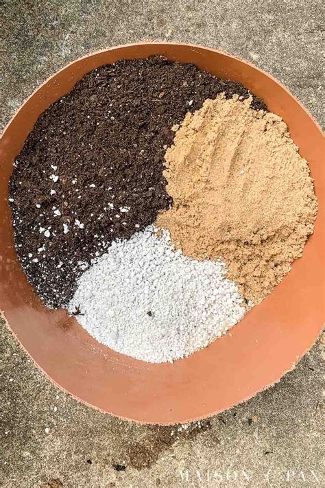Because of this soil recipe is cheaper and makes it according to your area's climate this homemade potting mix for succulents can grow the nursery plant and potted plants, including indoor and outdoor. DIY Succulent Soil Potting Mix | Succulent potting mix ...