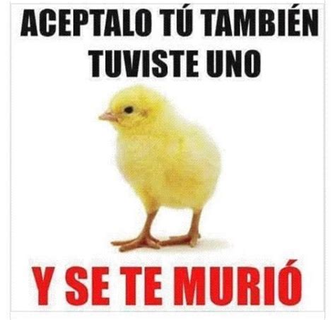 Humor En Español Super Funny Quotes Funny Posts Memes Inspirational