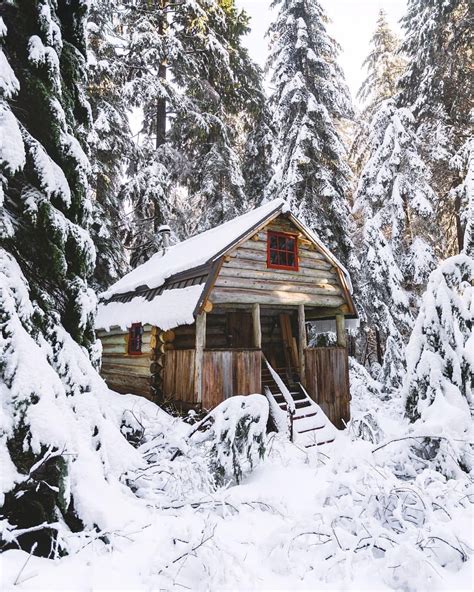 Little log cabin in the woods. log cabin kinds, the very best facets of log cabin ...