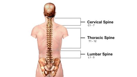T-Spine Mobility: Why You Need It, How to Test it and How ...