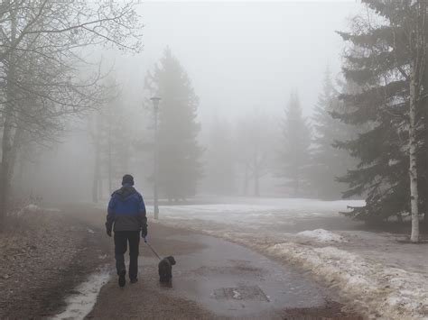 Simple Moodlings Foggy Morning Walk