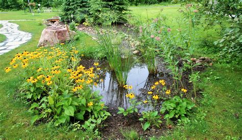 A rain garden features a basin with an entry and exit point for harvested rain water. Rain Water Harvesting - Tips For Every Household On Water ...