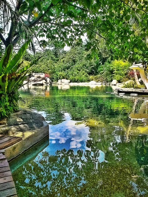 Set up in a local's true village environment, sg. The Explorer : Sungai Klah Felda Residence: Hot Springs