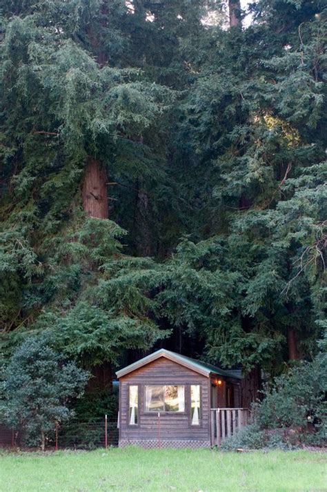 Forest Cabins Big Sur California Fernwood Resort For My Bday