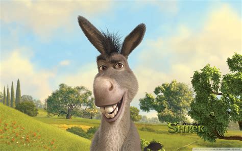 Donkey Wallpapers Top Free Donkey Backgrounds Wallpaperaccess