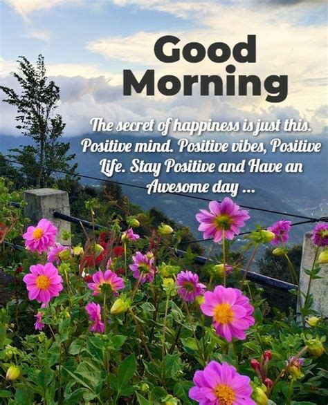 Good Morning Stay A Positive And Have Awesome Day Quotes Good Morning