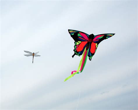 The equal length sides are always opposite each other. Figure Kites | American Kitefliers Association (AKA)