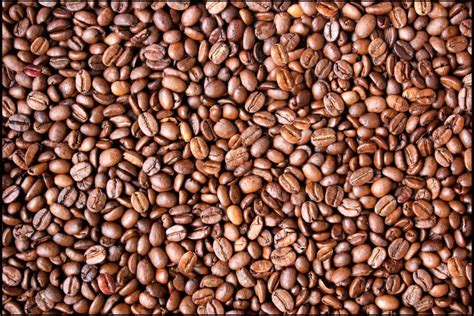 We are direct manufacturers and exporters of coffee beans. Optical Illusions: Can You Spot The Famous Faces In These ...