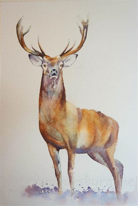 11 How To Paint A Deer Ideas Paitqf