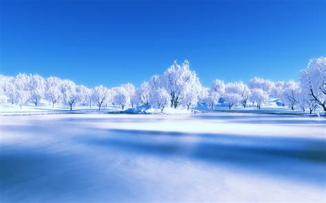 31 Widescreen Winter Wallpaper 1440x900