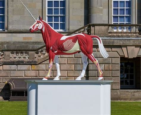 Damien Hirst Seven Works For Yorkshire Sculpture Festival Bbc News