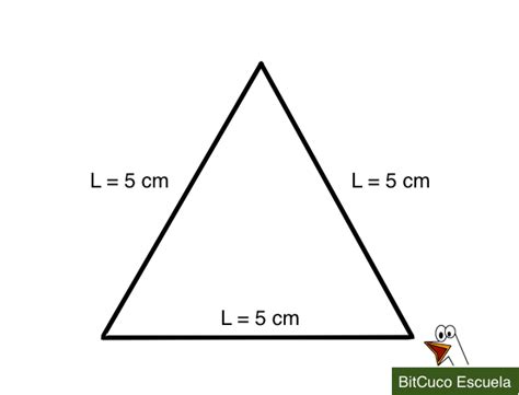 Perímetro Del Triángulo Con Ejemplos Bitcuco Escuela