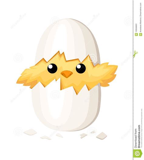 Chicken Egg Clip Art 20 Free Cliparts Download Images On Clipground 2024