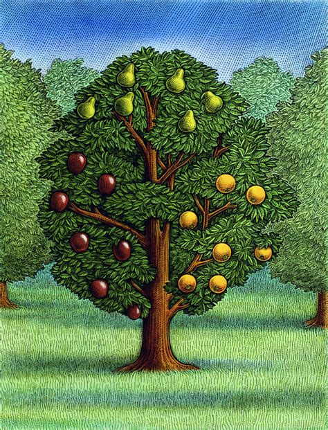 Growing fruit trees are somewhat different to other plants, in that there is an intermediate growing stage where the seed must be grown into a sapling before being planted into a cleared fruit tree patch. Trees - Ink Rhythm
