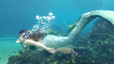 Maybe you would like to learn more about one of these? Mermaids Surface At Sea World