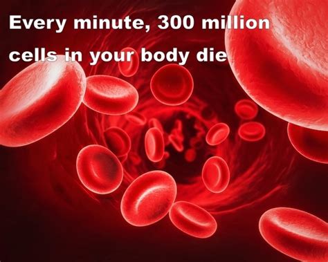 22 Fascinating Facts That Will Prove That Human Body Is Amazing
