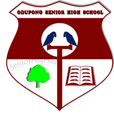 Odupong Comm Day School