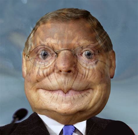5 out of 5 stars. Mitch McConnell + Turtle face melt = : funny