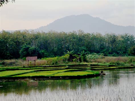 28 4 perjalanan udara uav. nuansa masel: SAWAH LEBAK