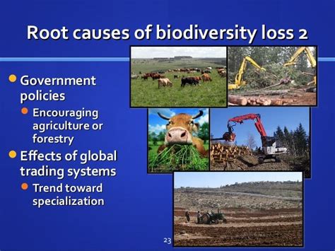 Biodiversity Lecture 2014