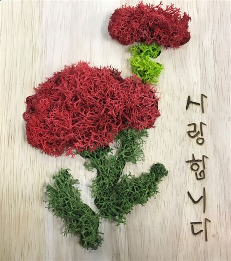 잎은 길이 15cm를 넘지 않으며 길쭉하다. 쉬운데 예쁘기까지? 천연이끼로 카네이션 만들기 - 이로운넷