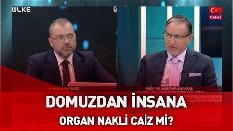 Domuzdan Insana Organ Nakli Caiz Mi Prof Dr Mustafa Karata A Klad