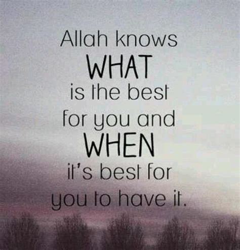 Best Islamic Quotes Bloody Quotes