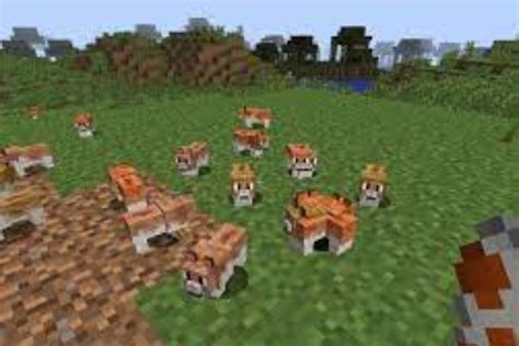 How To Get Hamsters On Minecraft Hamster Spruce