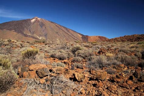 A Comprehensive Heirarchy Of All The Volcanoes In The Canary Islands