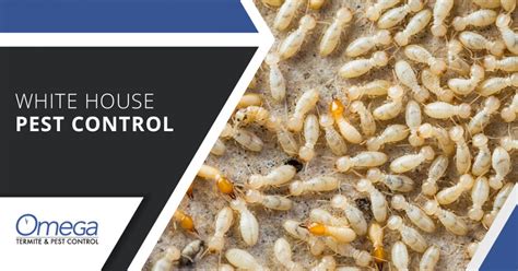 Columbia > apartments / housing for rent. White House Pest Control | 100% Satisfaction Guarantee ...