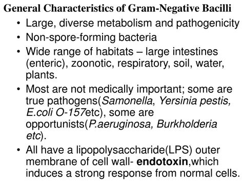 Ppt Chapter The Gram Negative Bacilli Of Medical Importance Powerpoint Presentation Id